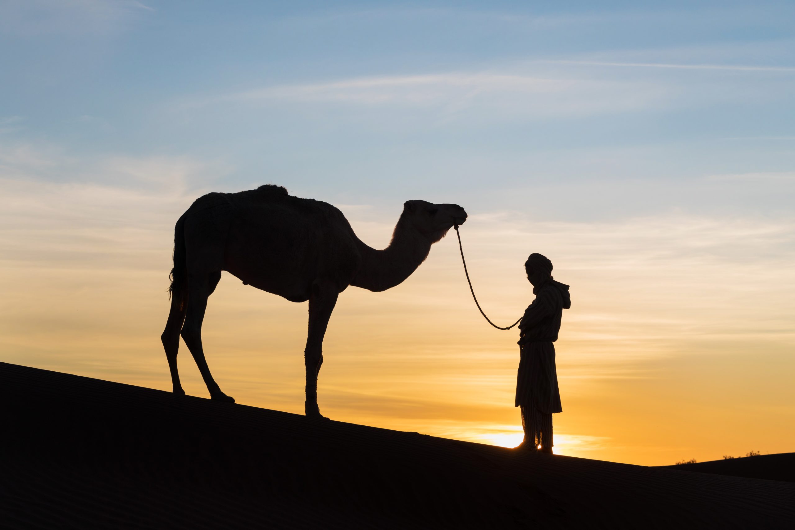 Savor the Spirit of Morocco: Handpicked Experiences with Marrakech Travel Agency Experts