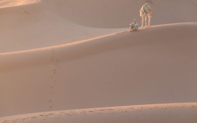Embark on a 4-Day Tour From Fes To Marrakech: A Moroccan Adventure Awaits