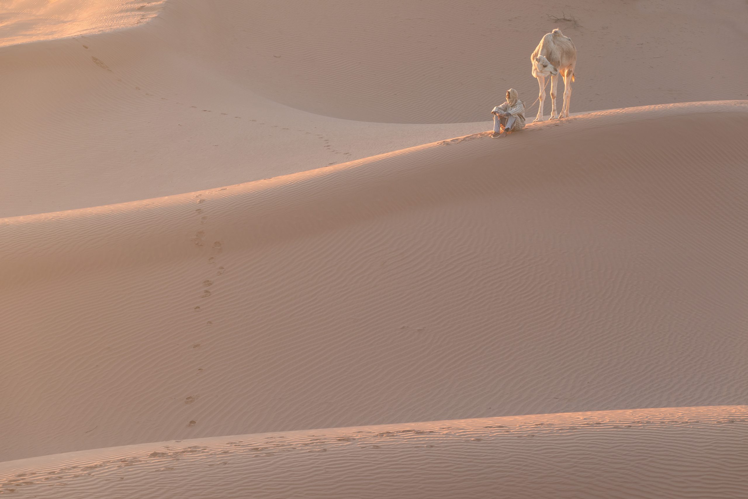 Embark on a 4-Day Tour From Fes To Marrakech: A Moroccan Adventure Awaits